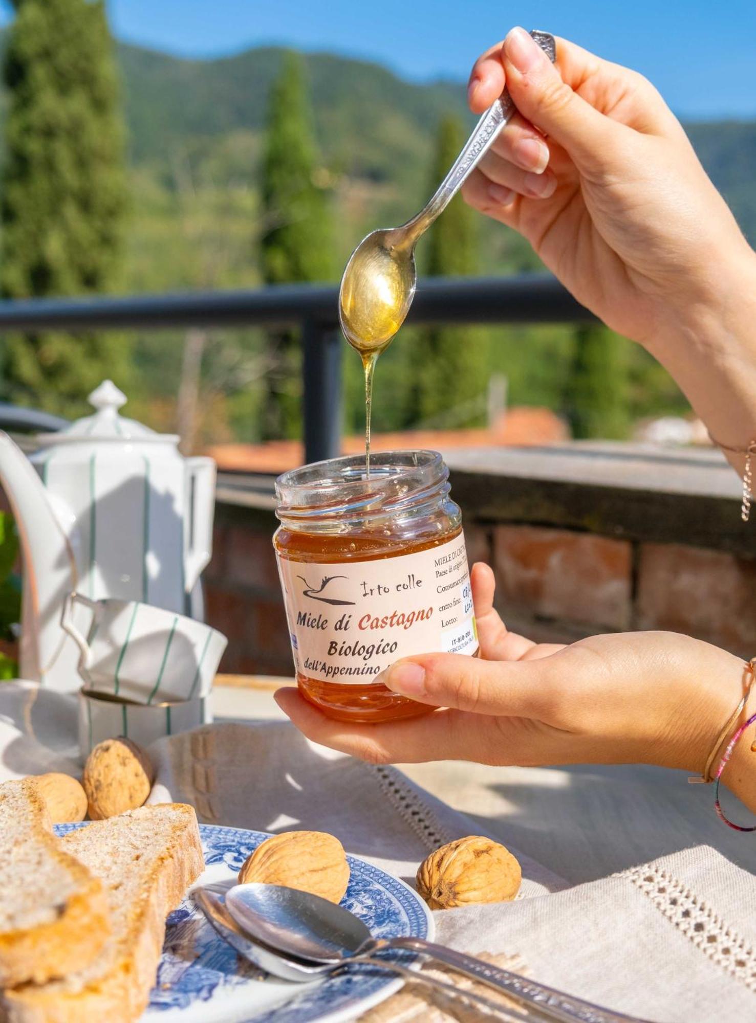 Agriturismo Irto Colle Massa e Cozzile Экстерьер фото